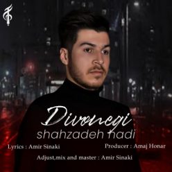 دانلود آهنگ شاهزاده هادی دیوونگی با کیفیت 320